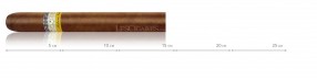 Cohiba Siglo 4 tubes