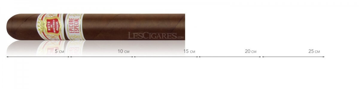 Hoyo de Monterrey Epicure Especial