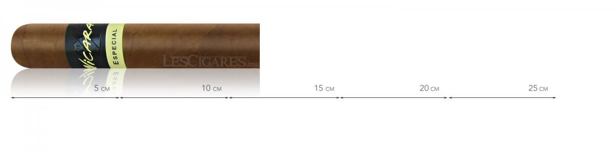 Nicarao خاص توريتو