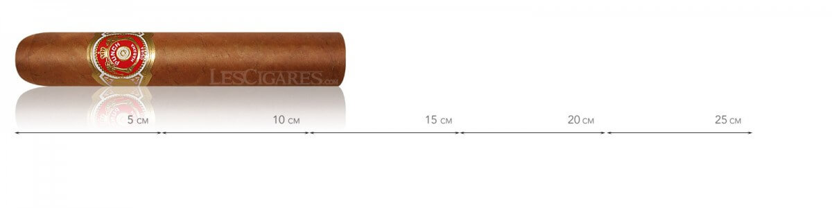 冲床短罗布斯托斯