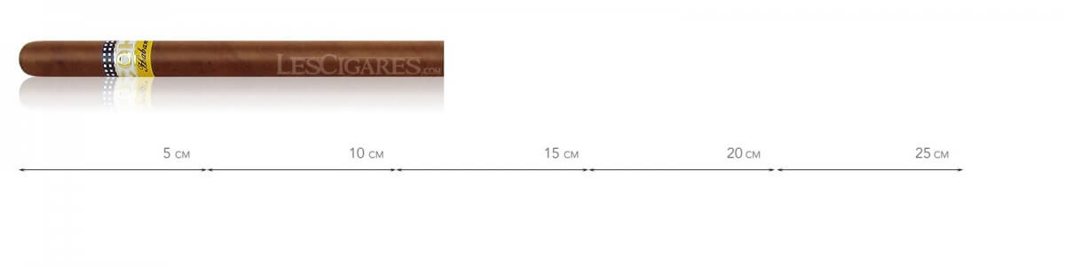 高希霸帕内特拉斯