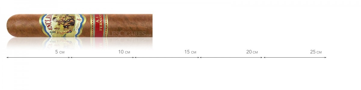 Abdel J. Fernandez 的 Robusto Enclave