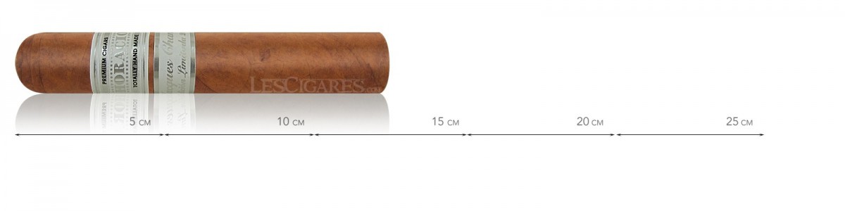 هوراسيو إديسيون ليميتادا جاك شانسل