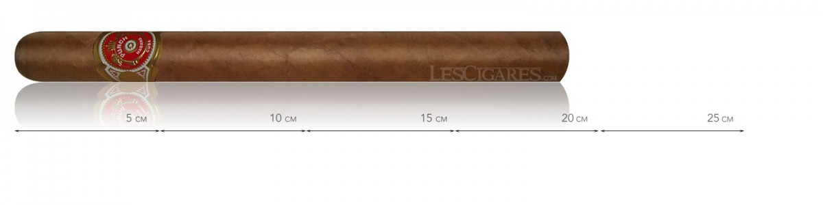 Stanzen Sie doppelte Coronas