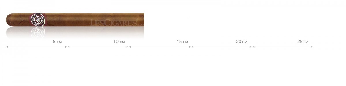 蒙特克里斯托乔伊塔斯