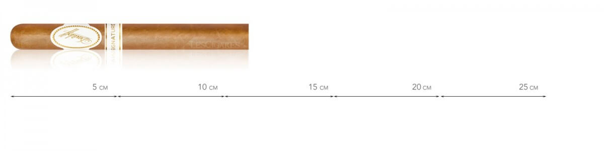 copy of Davidoff 1000