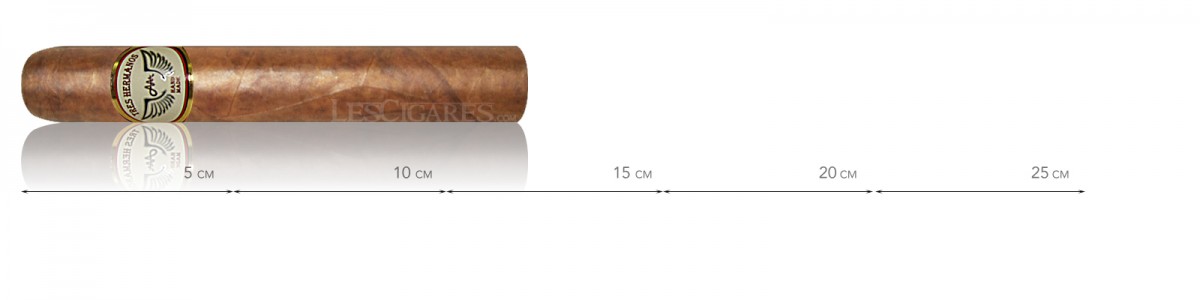 Tres Hermanos Robusto