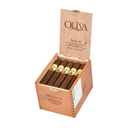 Oliva G rob-2.webp