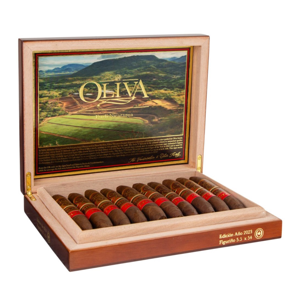 Oliva V melanio ano 2023-2.webp