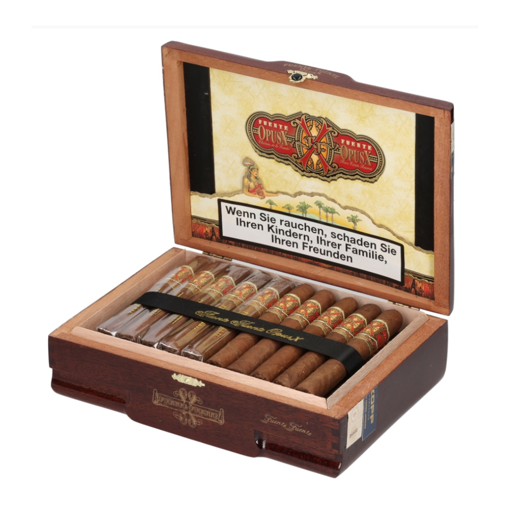 Opus x fuente fuente.webp