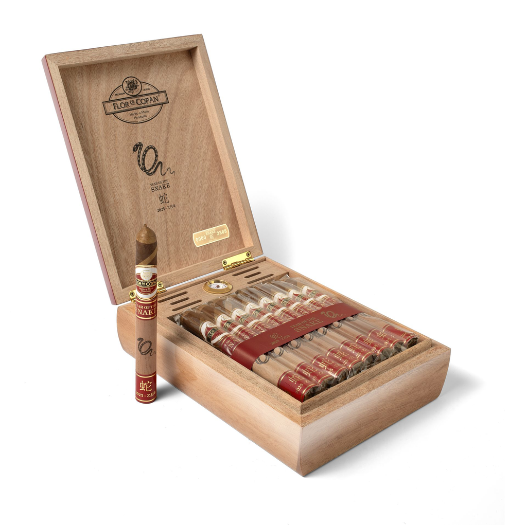 FLOR DE COPAN year of the snake bodegon007 ret2.webp