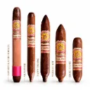 Arturo Fuente Rare Pink Vintage 1960’s Series - Pack Découverte