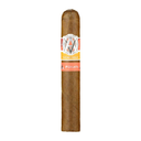 AVO Syncro Fog Robusto - Box