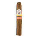 AVO Syncro Fog Toro - Box